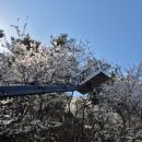 부경스카이 이미지