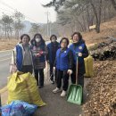 가수원공원 Daum카페
