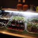 돈이조아 삼겹살 이미지