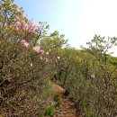 운봉의뜰 이미지