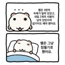 25카츠 가산점 | 24주차