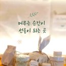 나르므로