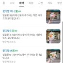 부케바이242 이미지