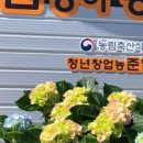 종기농장 이미지