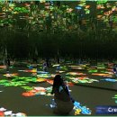 성산읍-2 | 제주도 서귀포 동쪽 성산읍 빛의 벙커 할인 정보 안내