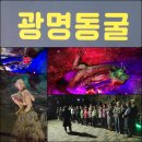 월미도 여행 [24.4-19] 이미지