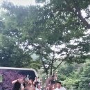 포레스트카라반파크 이미지