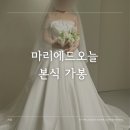 주식회사 제로투원비즈 | 마리에드오늘 신상 비즈 본식 가봉 후기 미카도실크 드레스 2부드레스