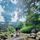 산고을힐링 펜션 이미지