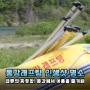 영월 동강래프팅, 짜릿함과 아름다움을 동시에! (후기 포함)