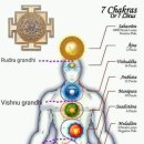 차크라ㅡ에너지 센터 & 기氣와 명상의 상관관계 이미지