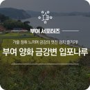 양화 금강변 네이버블로그