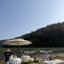 다금농장 이미지