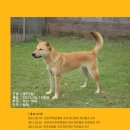 대진광고 - 서구 원당대로 523 | 대진광고