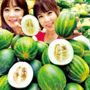 성환농협하나로마트