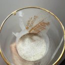 달보드레의달콤한수다 이미지