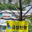 불티나 마트 이미지
