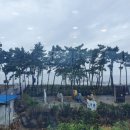 샹스커피 이미지
