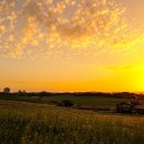 안성목장 이미지