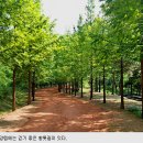 초록 이미지