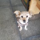 대산 1차아파트 이미지