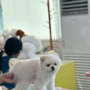 좋은학원 - 송파구 송이로32길 14 | 좋은학원