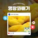 수원-0088 이미지