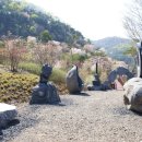 고운식물원 이미지