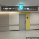인제대학교 해운대백병원 | 인제대학교 해운대 백병원 약물 알레르기 경구 검사 입원 후기