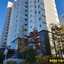 대구강림초등학교 이미지