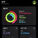 선미분식 | 사진 100장이 넘는 일상, 사고 먹고 놀고..