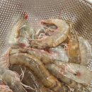 시흥삼미시장 | 시흥 삼미시장 수산가게 활새우 후기