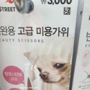 시그니처컨벤션웨딩