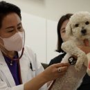 담양군 반려유기동물 공공진료소 이미지