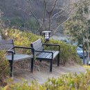 황령산유원지 생태숲 | 부산 남구 봄 나들이 가볼만한 곳, 황령산유원지생태숲 주차 봄꽃 정보