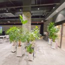 SG 스크린 골프 이미지