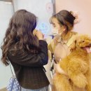 프랑소와펫 신세계대전점 이미지