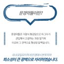 약돌농장 이미지