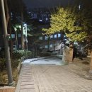 상남도서관 맞은 편 | [중구 도서관 스탬프투어] 도심 속 바람과 햇살이 머무는 다산성곽도서관 후기