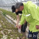 망성농협 이미지