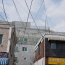 왕골목장 이미지