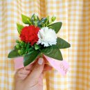 [DIY] 8,000원의 기적! 다이소 카네이션으로 어버이날·스승의 날 선물 8개 만들기 🌸