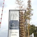 11590-마35-1 | 용인 대형카페 추천 파네시마 복합문화공간, 조카랑 데이트 다녀온 솔직 후기