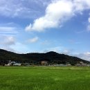 개화초등학교 이미지