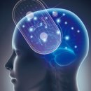 내인생봄날의원 이미지