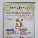 보령시치매안심센터 | 부모님 치매검사 보령시 보건소 치매안심센터 치매 선별검사