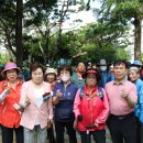 (사)한국지체장애인협회 부여군지회 | 부천시지체장애인협회, 장애인 극기대회 성료