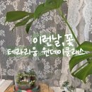 이런날;꽃 네이버블로그