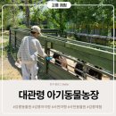 엄지농장 | 강릉 아이랑 대관령 아기동물농장 강릉 동물원에 다녀왔어요