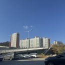 빛고을미용실 | 광주 마더힐 조리원 연계 만삭사진 '베일리수' 촬영후기